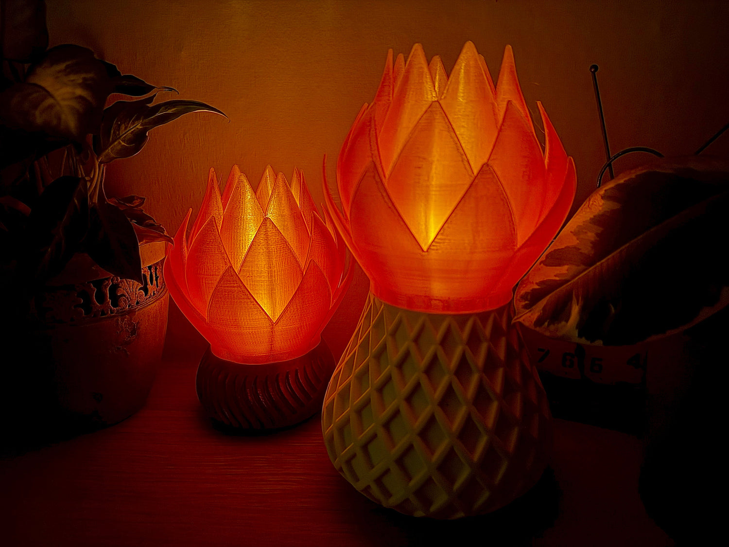 Lichtvielfalt der Natur - DrucktWieNix